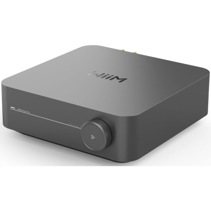 Amplificateur HiFi WIIM amp pro