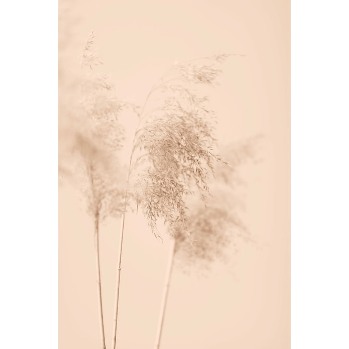 Tableau des champs sauvages Tableau plexiglas