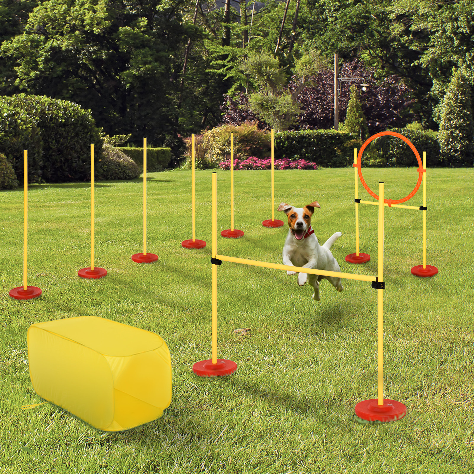 Agility sport pour chiens équipement complet haies, slalom, tunnel + sac de transport jaune