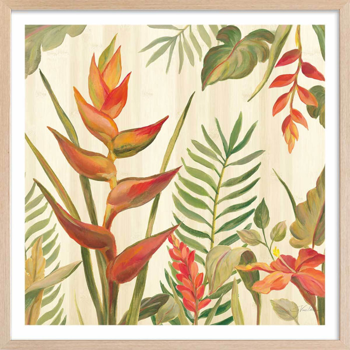 Affiche Oiseaux du paradis en aquarelle Affiche + cadre en bois - Chêne