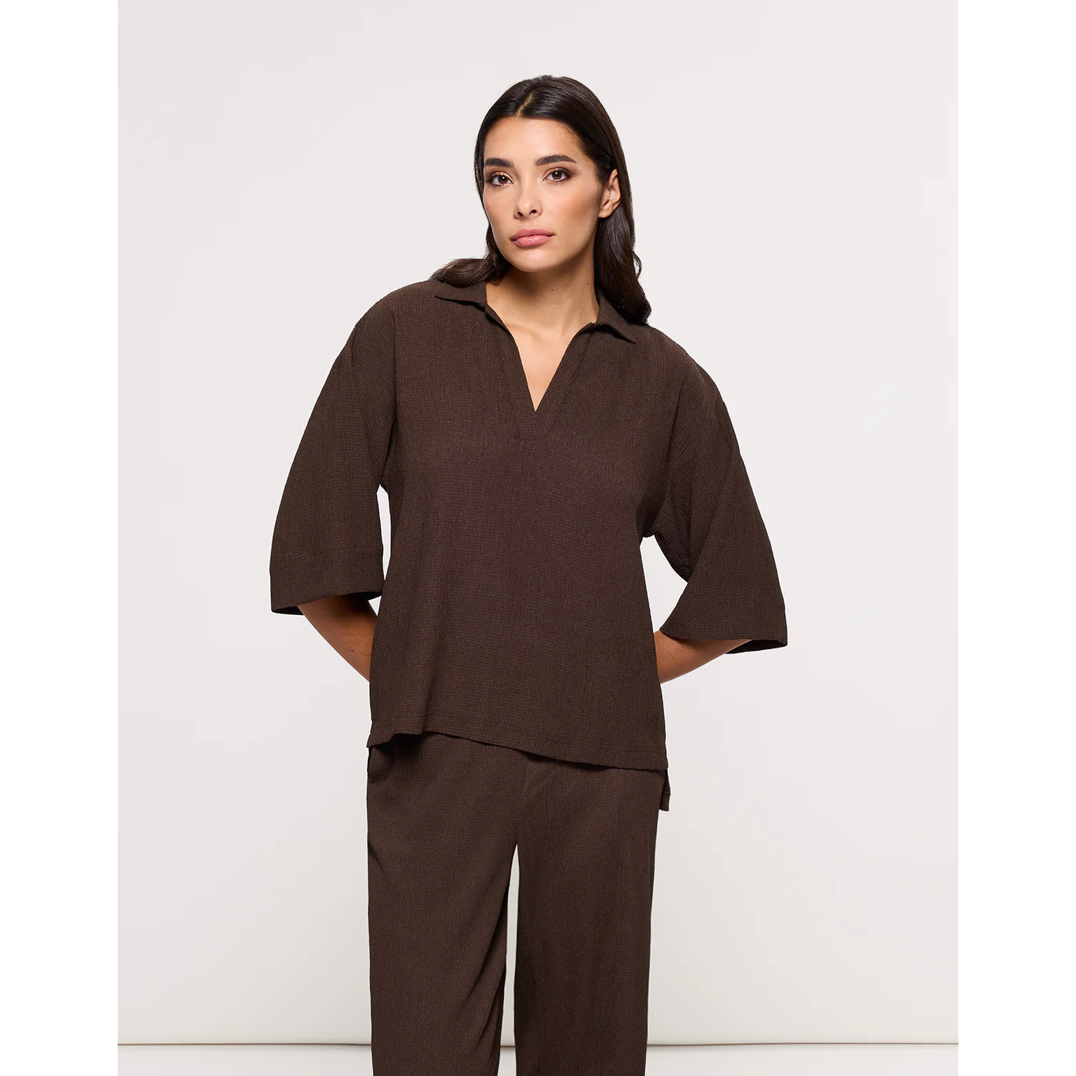 Camisa Manga Larga Marrón - Ponti