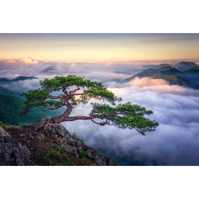 Tableau paysage sur le rocher  Tableau plexiglas