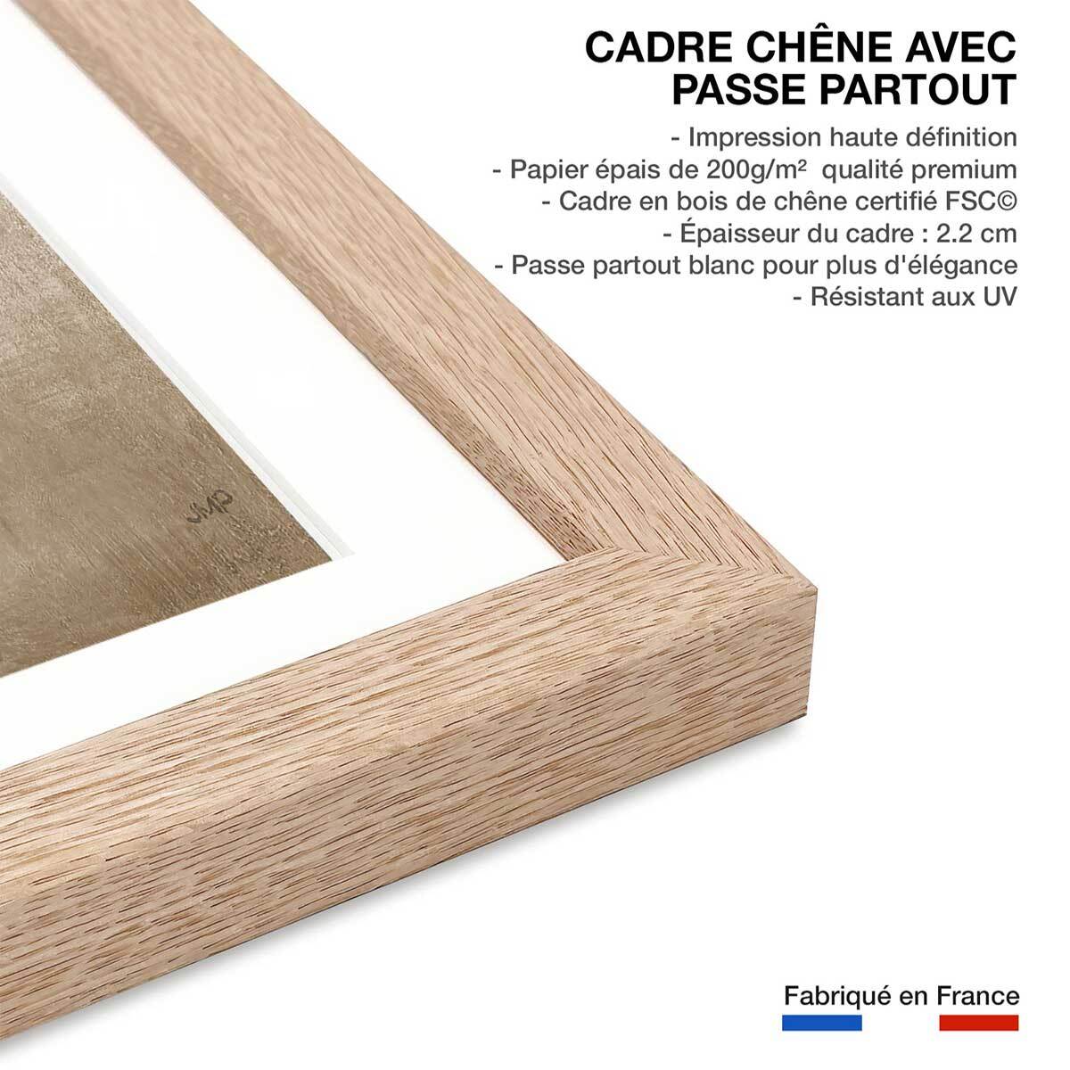 Poster Fleurs médicinales Affiche sous cadre bois