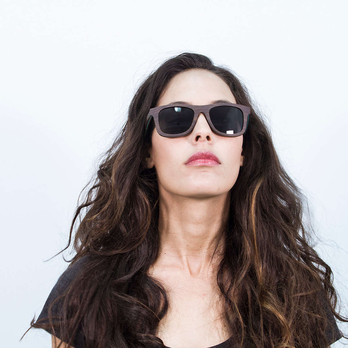 Gafas de sol OCEAN VENICE BEACH - De madera skate marrón oscuro con línea azul y / Ahumada
