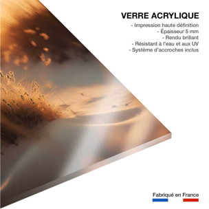 Tableau mer et plage coucher de soleil à la plage  Tableau plexiglas