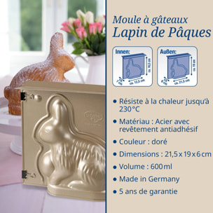 Moule à gâteaux 3D en forme de lapin de Pâques 600 ml Dr.Oetker