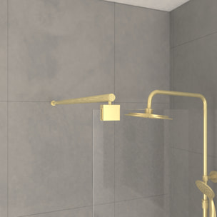 Paroi de Douche 80x200cm Verre Transparent - Barre de Fixation Extensible et Profil Or Brossé