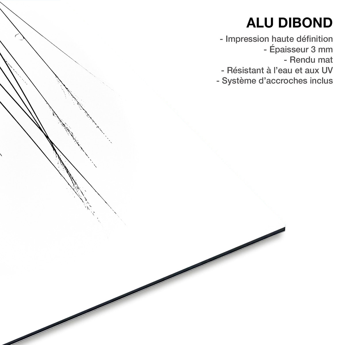 Tableau oiseaux En haut de la branche Tableau alu Dibond