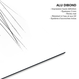 Tableau oiseaux En haut de la branche Tableau alu Dibond