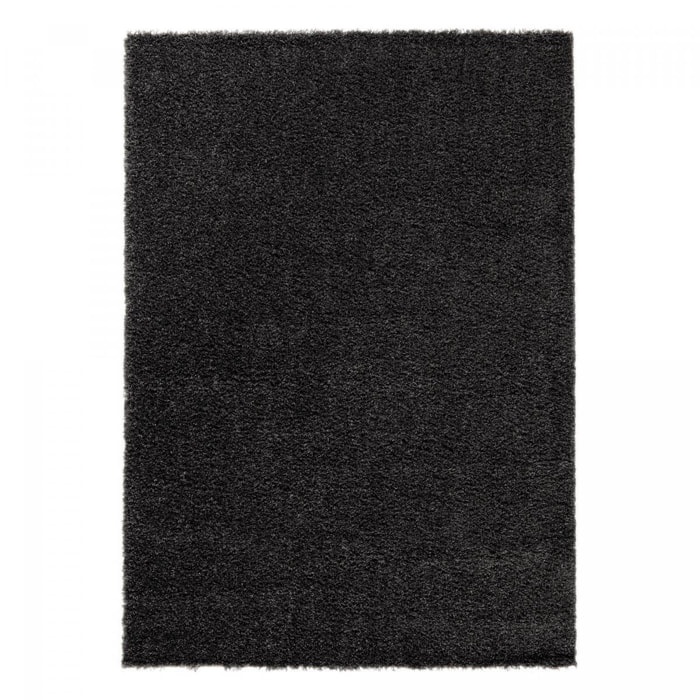 Tapis salon HINOU Noir 200x290 en polypropylène doux et soyeux