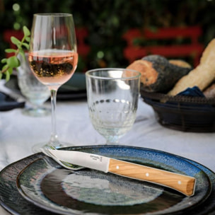 Couteau OPINEL Coffret facette 4 Olivier