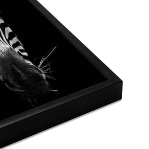 Affiche encadrée zèbre artistique en noir et blanc Affiche + cadre en métal - Noir