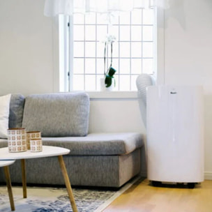 Climatiseur WOODS WAC1202G