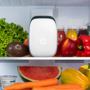 Shelfy, purificatore per frigorifero che riduce cattivi odori, batteri ed estende la freschezza del cibo