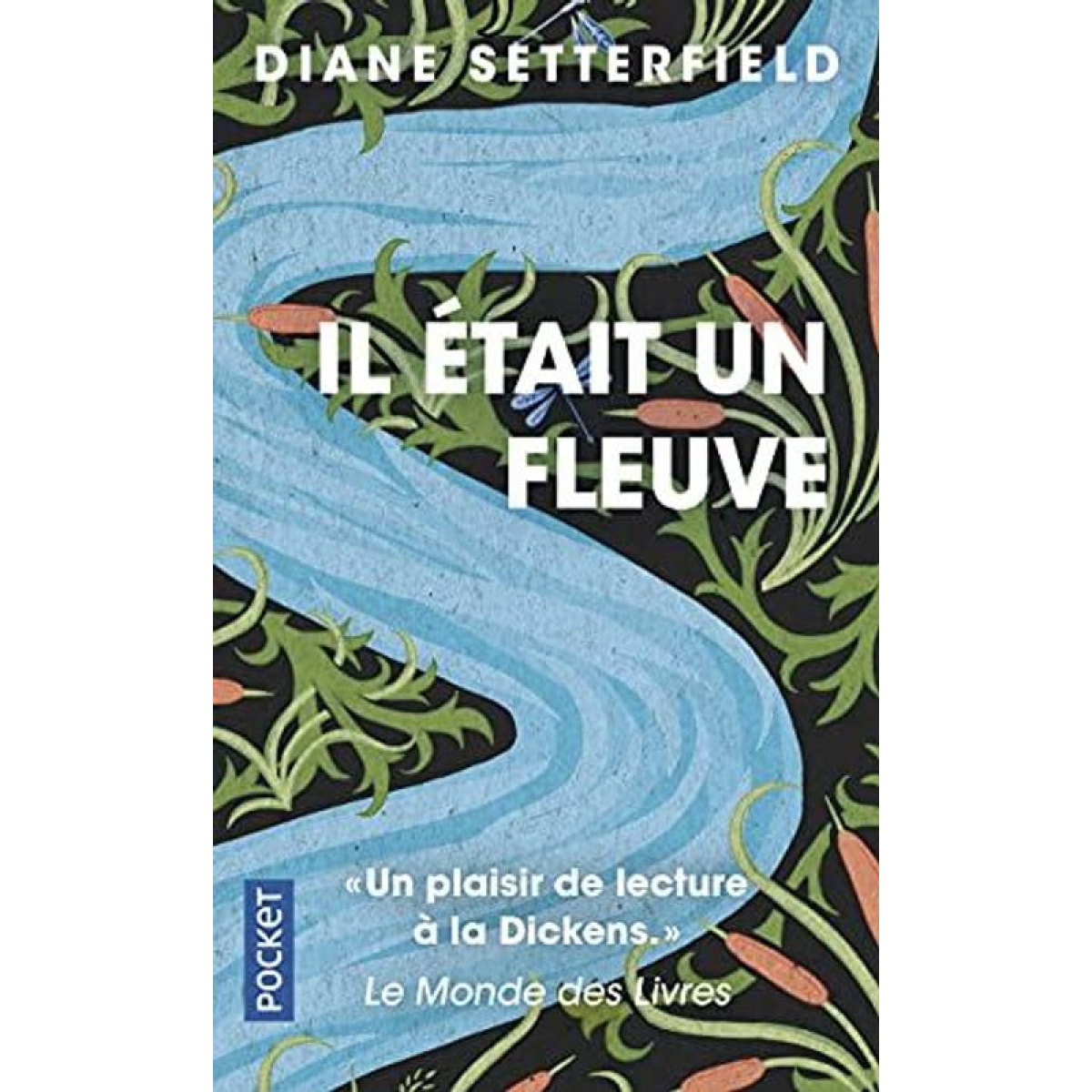 Setterfield, Diane | Il était un fleuve | Livre d'occasion