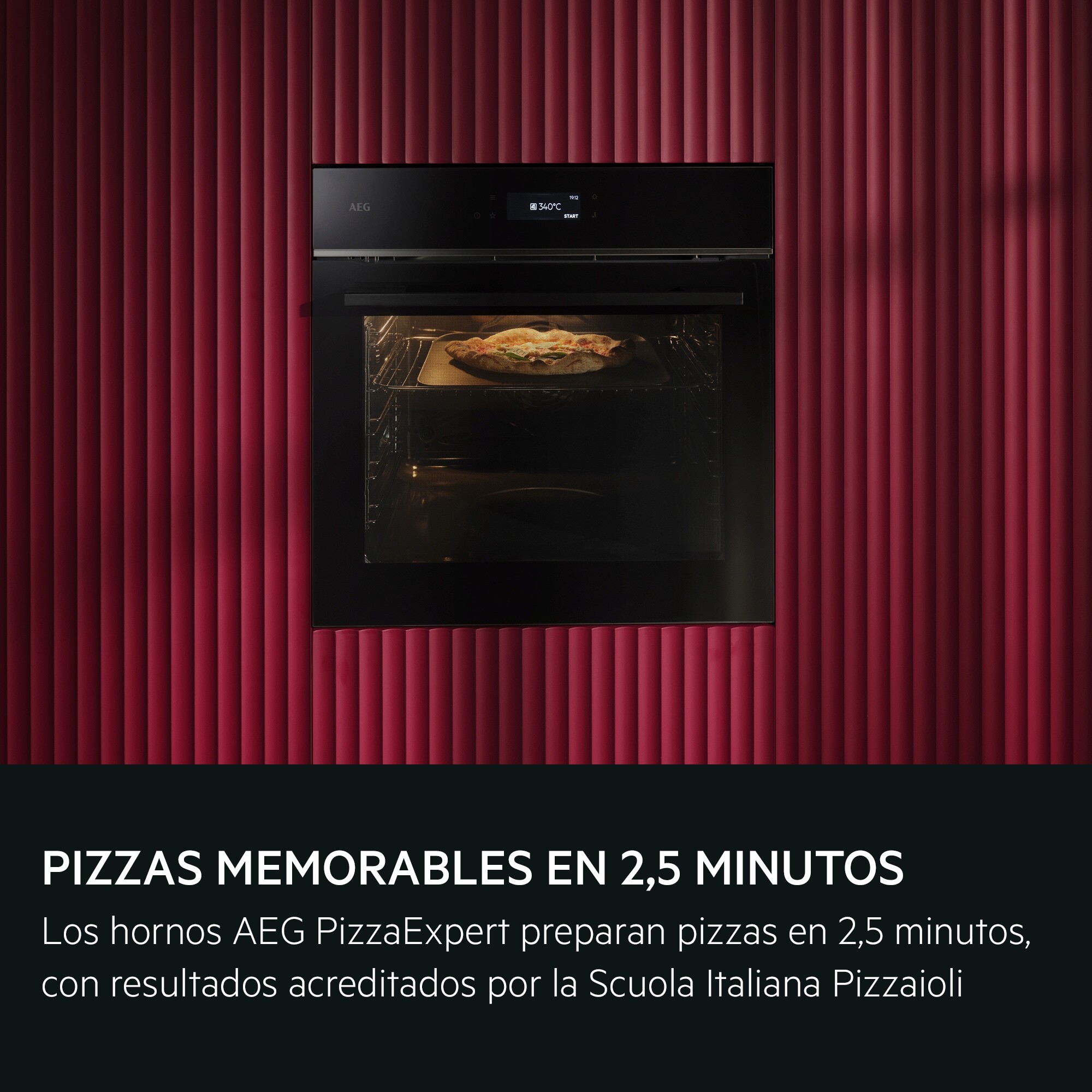 AEG Horno multifunción Serie 7000 MealAssist con PizzaExpert con Display táctil Excite TX7PB631SB
