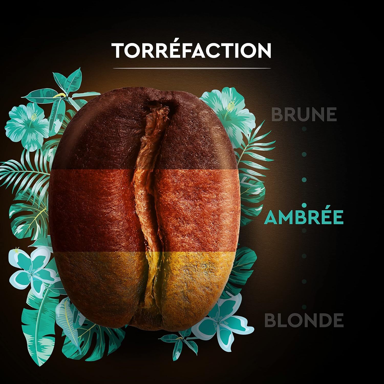 Carte Noire Grains Pérou Bio 500g