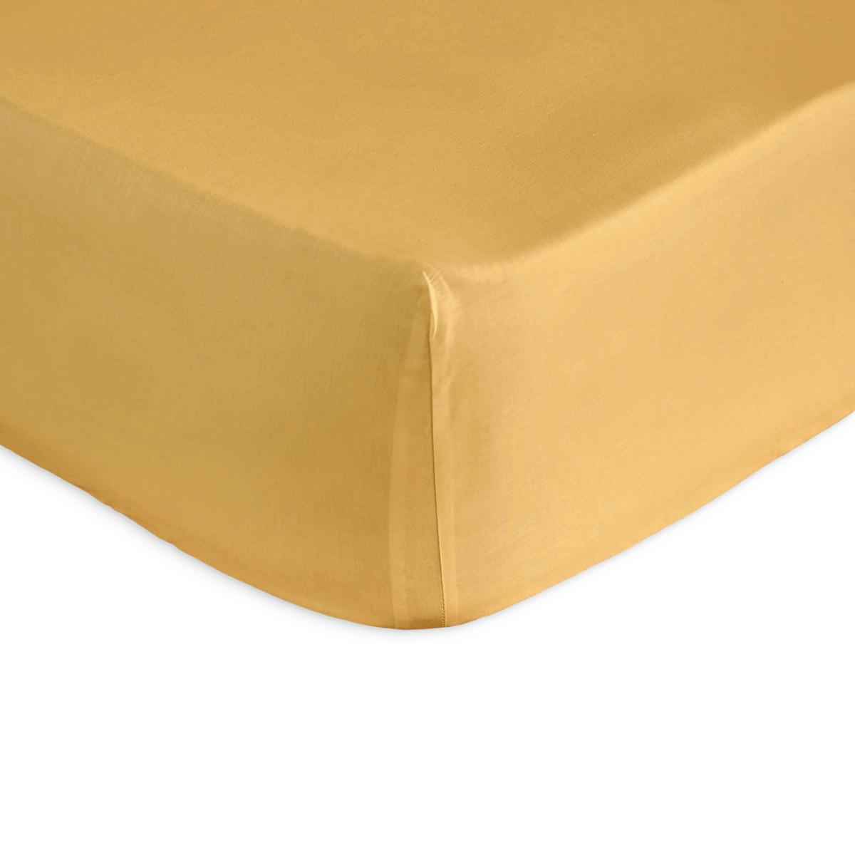 Drap housse PURE en coton percale moutarde