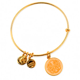Pulsera Alex And Ani Mujer A16EBPOLYG