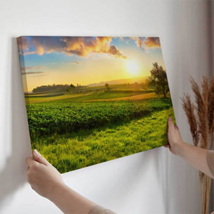 Tableau campagne dorée au soleil levant Toile imprimée
