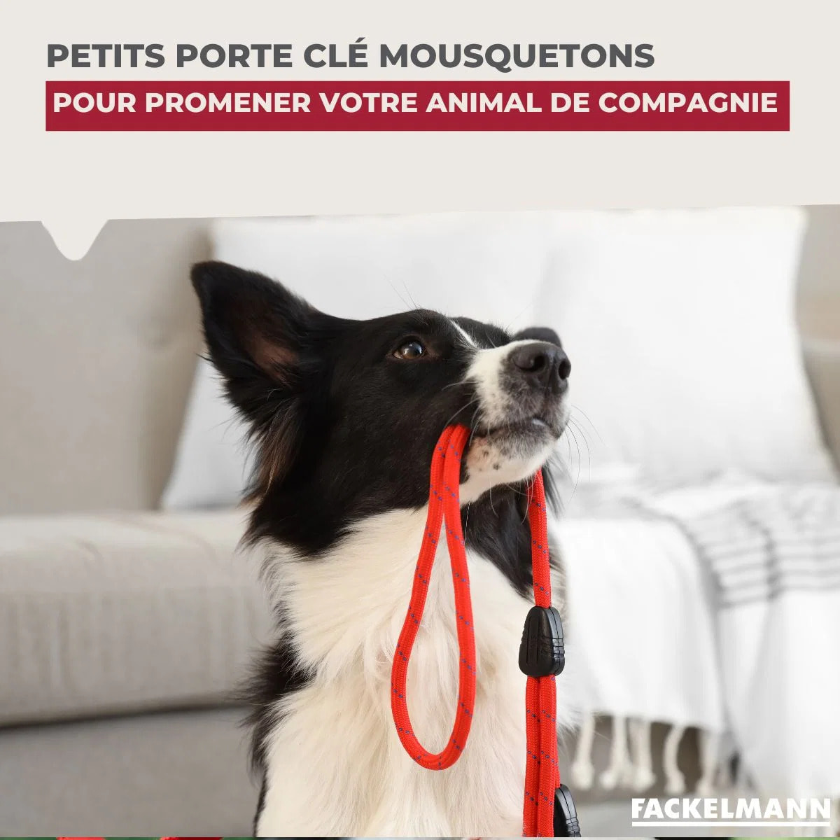 Petit mousqueton porte clé Fackelmann Tecno