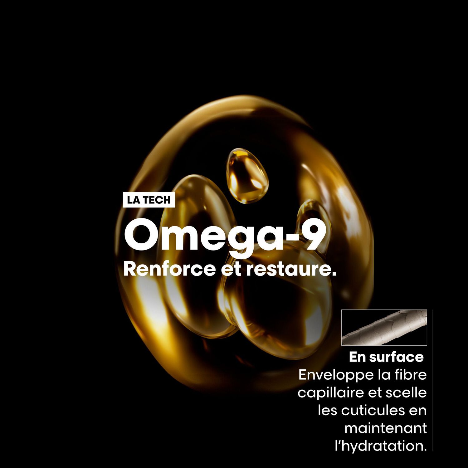 Serie Expert Absolut Repair - Coffret Shampooing 300 ml + Masque 250 ml