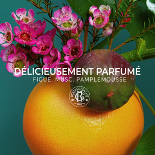 Fleur de Figuier - Crème Mains Bienfaisante 30 ml