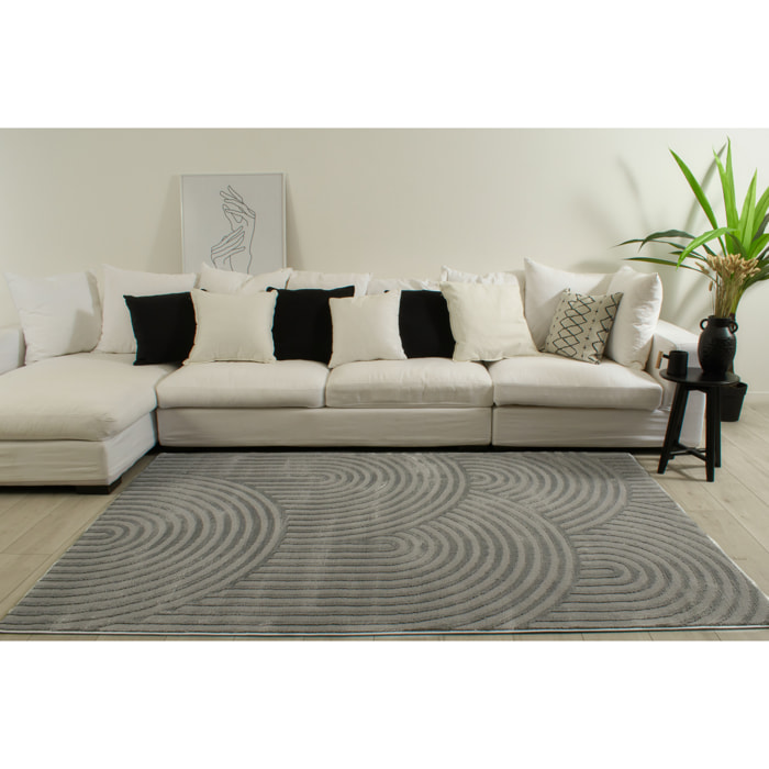 BIANCA - Tapis arc-en-ciel gris avec longs poils en relief