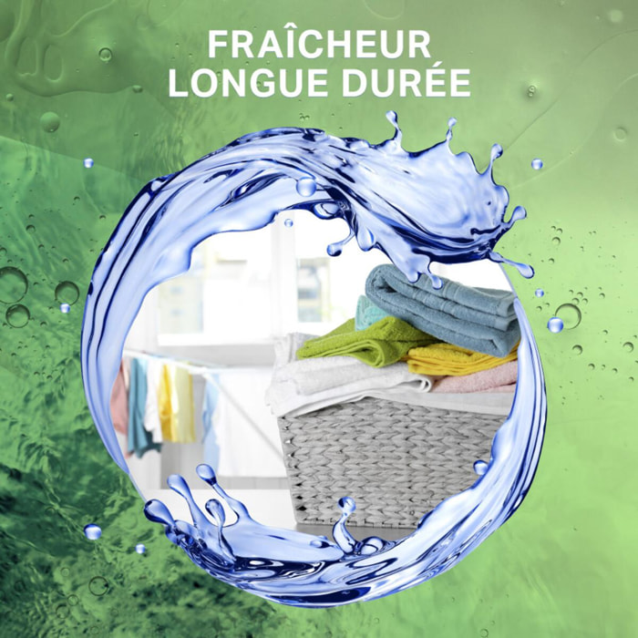 78 lavages - Capsules 3en1 SKIP Lessive Fraîcheur Intense (Lot de 3x26)