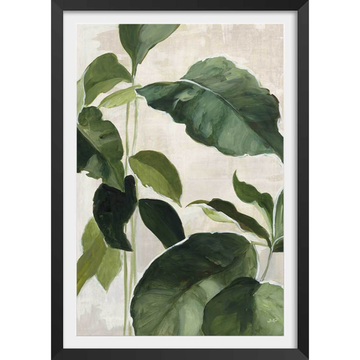 Poster Aquarelle botanique Affiche + cadre en bois - Noir