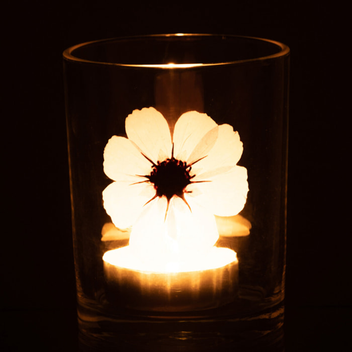 J-Line photophore Fleur - verre - rose/mix
