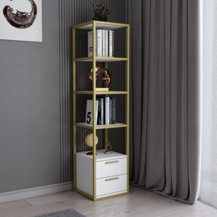 Librería, 100% tablero de aglomerado rechapado en melamina, color oro_x000D_
blanco