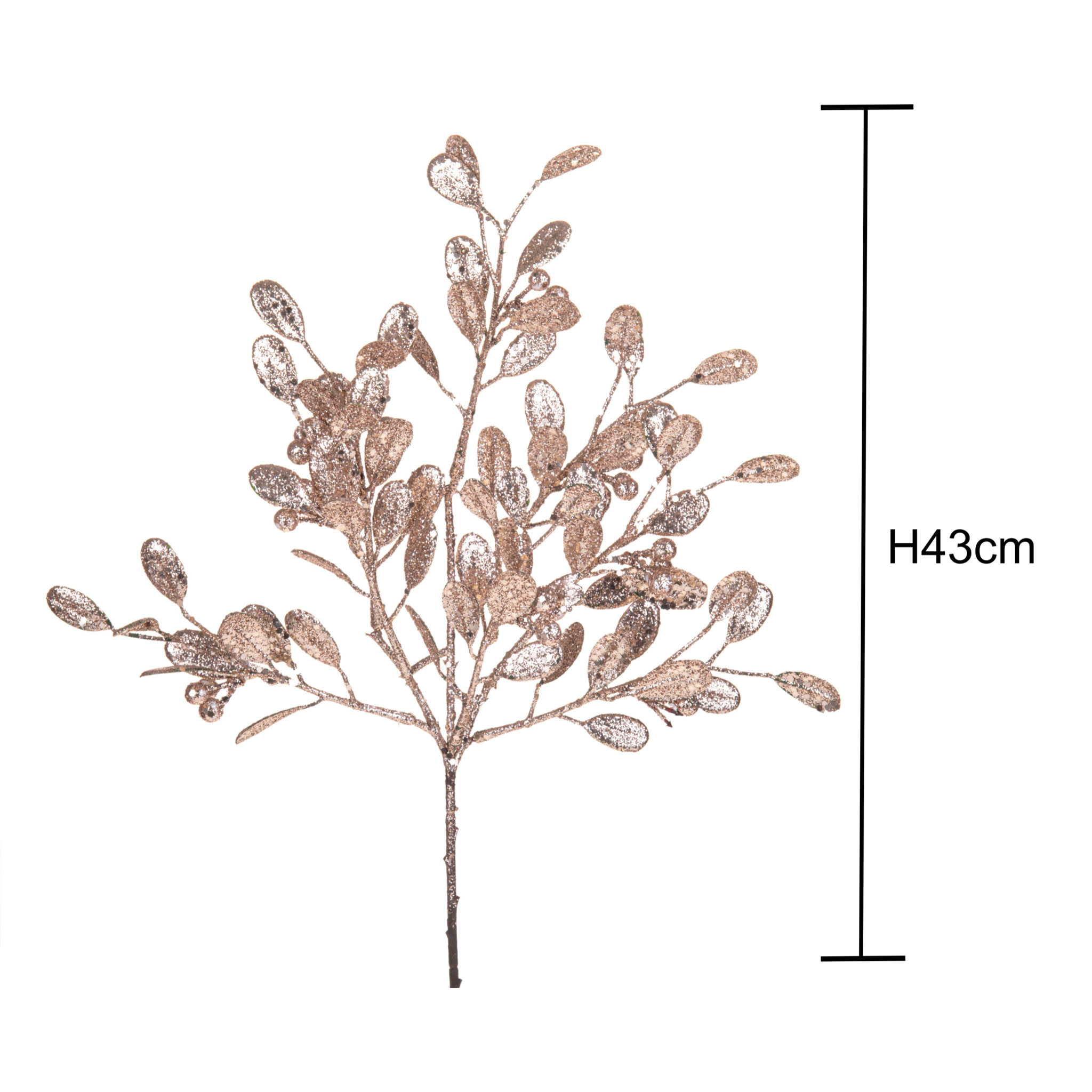 Vischio - Pezzi 12 - 18xH43x16cm - Bianchi Dino SpA