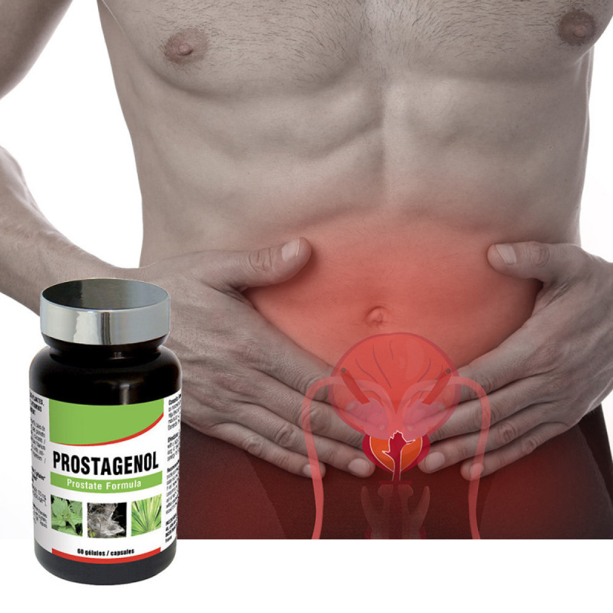 NUTRIEXPERT - Prostagenol - Confort urinaire et maintien du fonctionnement de la prostate - 60 gélules végétales - Cure de 30 j