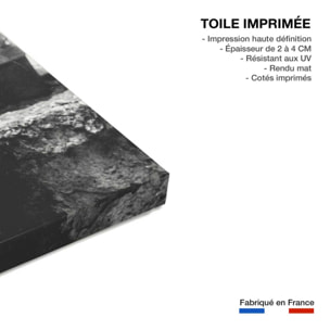 Tableau johnny hallyday et sa guitare en 1963 Toile imprimée