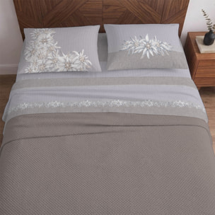 Completo letto stella alpina tortora 100% cotone