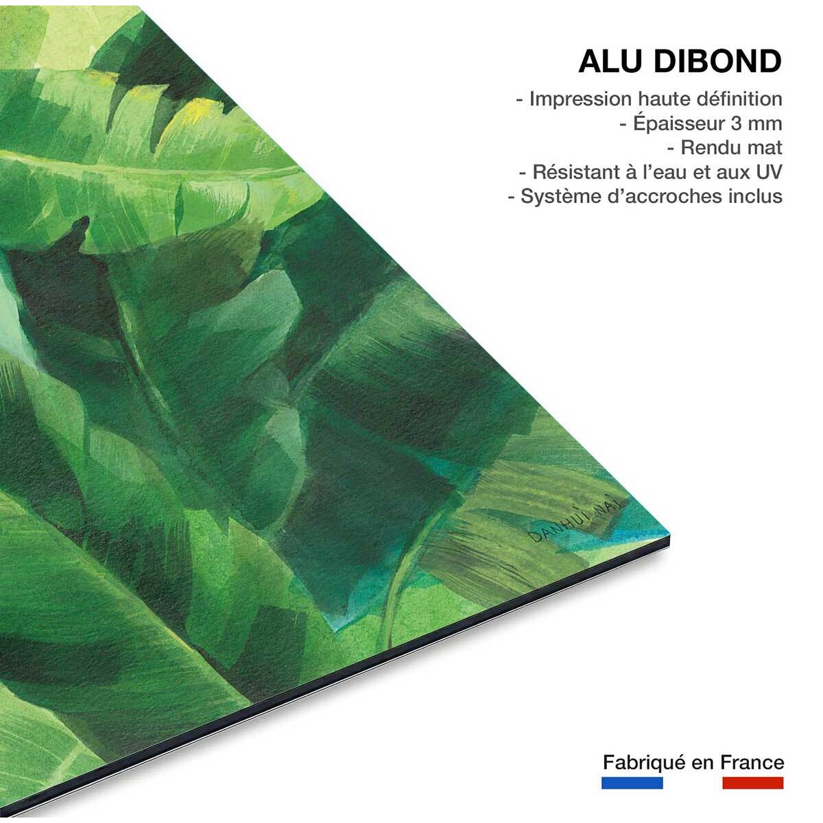 Tableau botanique palmier palmiers des tropiques ii  Tableau alu Dibond