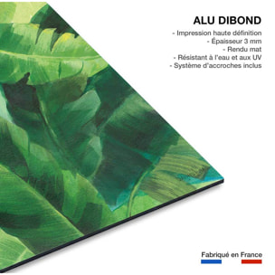 Tableau botanique palmier palmiers des tropiques ii  Tableau alu Dibond