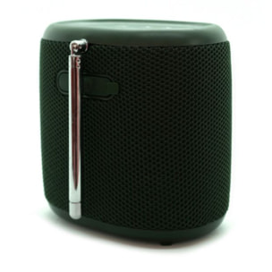 Radio DAB PURE Woodland Mini Green