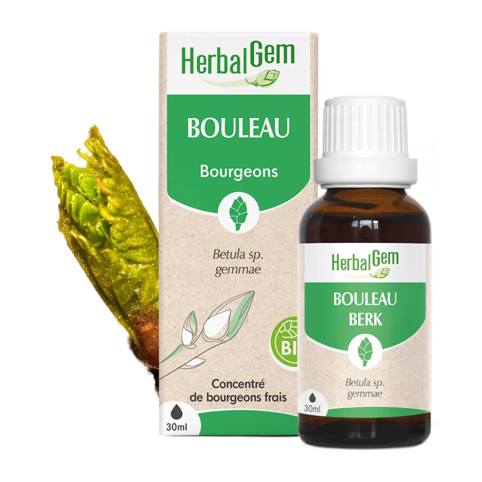 Herbalgem- Bourgeon de Bouleau - Bio - 30 ml
