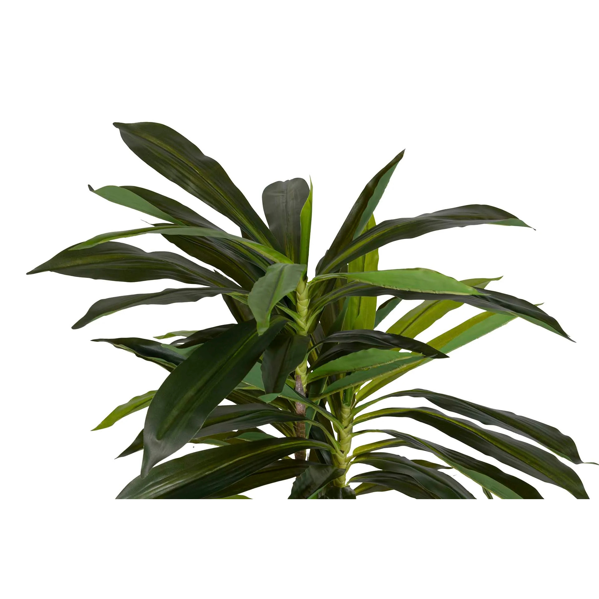 Planta Artificial Dracaena Fragrans Con Maceta 55x55x100 Cm