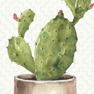 Papier peint exotique cactus en pot Intissé