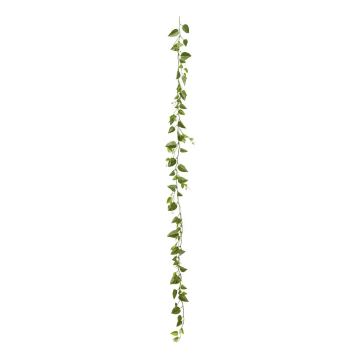 Guirlande plante artificielle Bellan L15xP15xH180 cm Vert