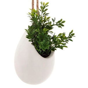 Planta colgante madi 13cm