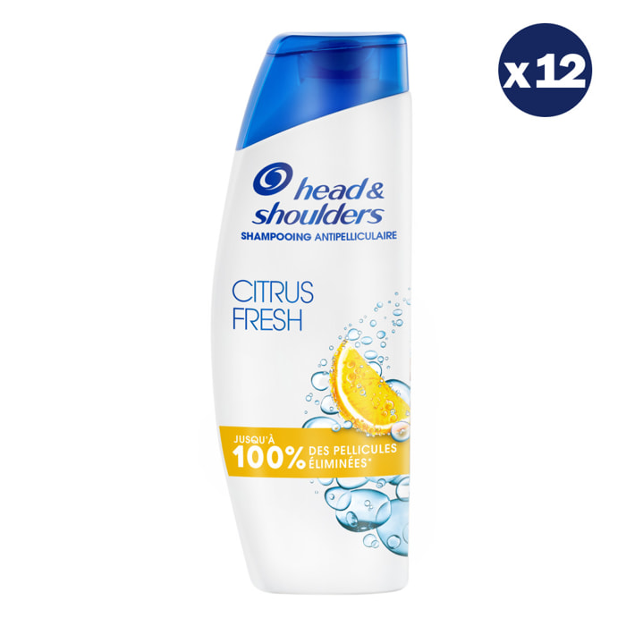 12 Shampoings Citrus Fresh 250ml - Head & Shoulders