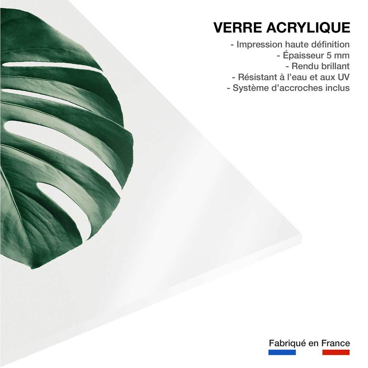 Tableau monstera perfect Tableau plexiglas