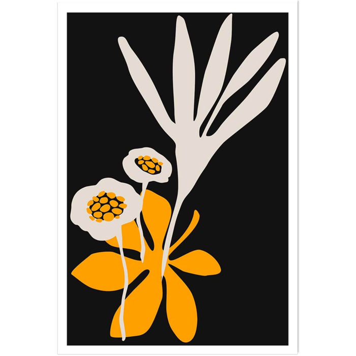 Poster fleurs colchiques Affiche seule