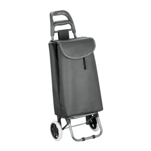 Poussettte de marché, chariot de courses pliable à  2 roulettes 33L Coloris assortis MSV