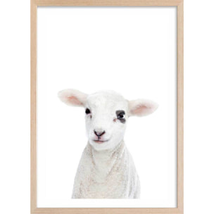 Affiche enfant bébé agneau  Affiche + cadre en bois - Chêne