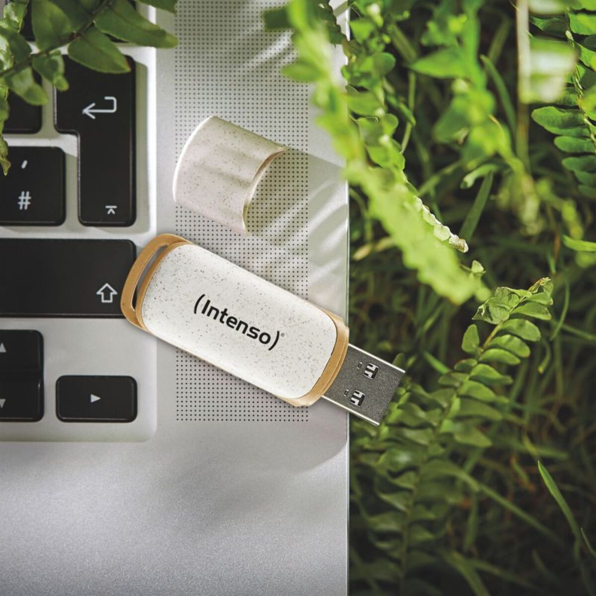 Clé USB INTENSO 128go GREEN LINE Flash drive 3.2